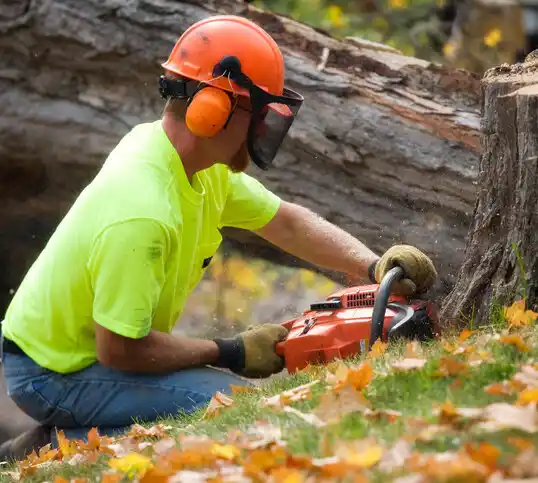 tree services Belvoir